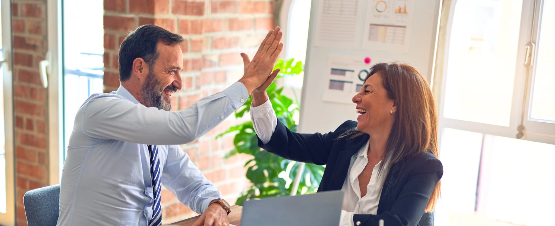 Professional Website Design and SEO Services by Nextasoft in the Hyderabad